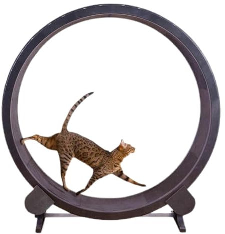 OZWYCY Katzenlaufrad Laufband for Katzen, Laufrad for Katzen, Sport- und Fitness-Rad for Haustiere, leise kleine Katzenrolle, Katzenspielzeug Katzenlaufrad für den Lnnenbereich(B:118CM)
