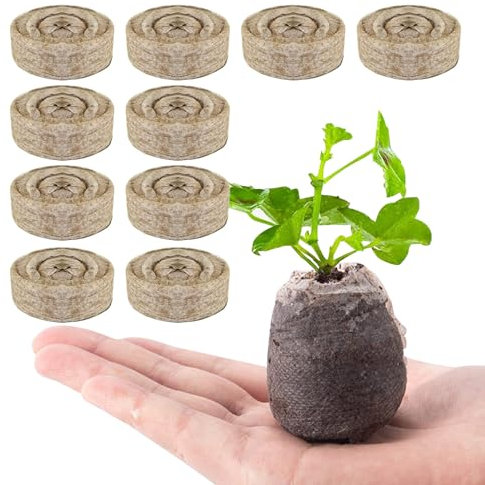 Dischi per Avvio Piante 10 Pezzi da 30mm Blocco di Terriccio con Nutrienti