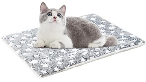 Warmes Bett für Katzen, Heizbetten für Katzen im Innenbereich