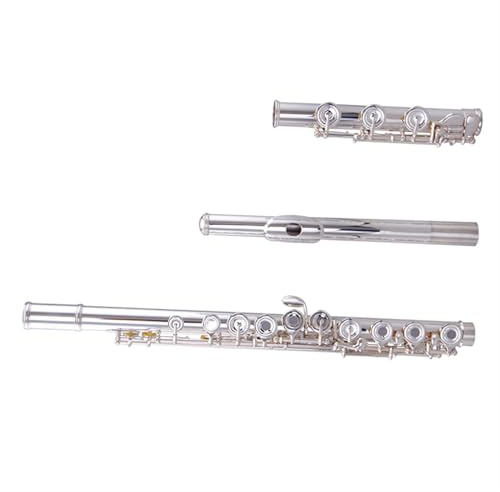 Querflöte Instrument Flöteninstrument Versilbert C-gestimmt 17 Offene Und Geschlossene Löcher Flöte Mit Goldenem Mundstück Für Anfänger Und Klassenprüfungen