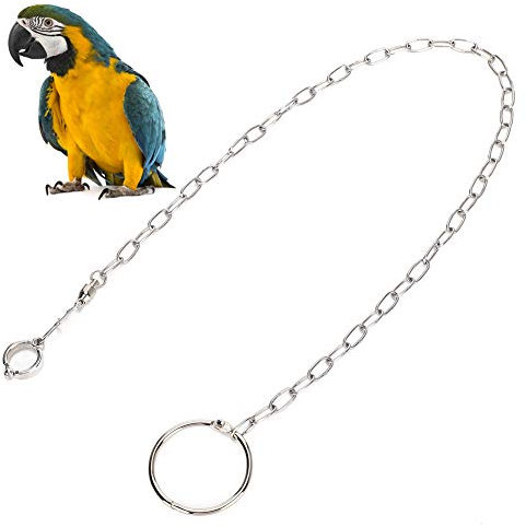 Conure Harness Cavigliera 54 Cm Catena del Piede Divisa in Acciaio Inossidabile per Cavigliera da Addestramento per Animali Domestici di Grandi Dimensioni per Uccelli Pappagalli