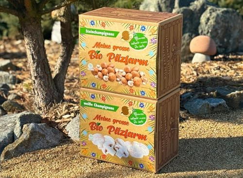 XXL BIO Champignon Komplettset 1x Steinchampignon + 1x Champignon - Pilze selber züchten