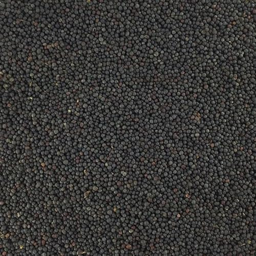 Paul´s Mühle - 25 kg Rapssamen für Wärmekissen & Rapskissen natürlich | Natur Füllmaterial für Wärme- & Kältekissen - Rapssaat für Körnerkissen & Kompressen - auch als Vogelfutter und Taubenfutter