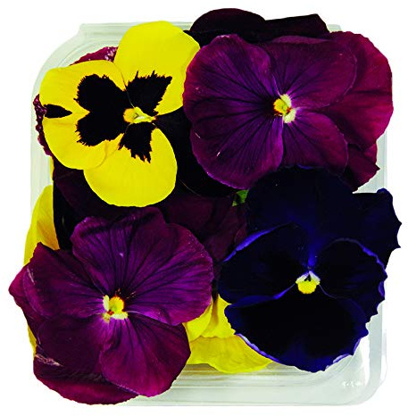 Fiori Commestibili BIOLOGICI - 15 VIOLE di COLORI MISTI in vaschetta alimentare di 10 cm x 10 cm x 2,0 cm - Coltivati in Toscana dall'azienda agricola Carmazzi