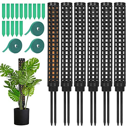 Benustra 6 pali per muschio da 38 cm per Monstera, impilabili con 15 etichette, paletti in plastica per piante rampicanti da interni, funzionano con muschio di sfagno
