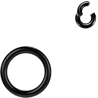 BodyAce Anillos PA de segmento con bisagras negras, 2G, 4G, 6G, 8G, 10G, 12G, anillos grandes BCR de acero quirúrgico, aro para tabique nasal, calibre de oreja, aros negros, Acero inoxidable, otros