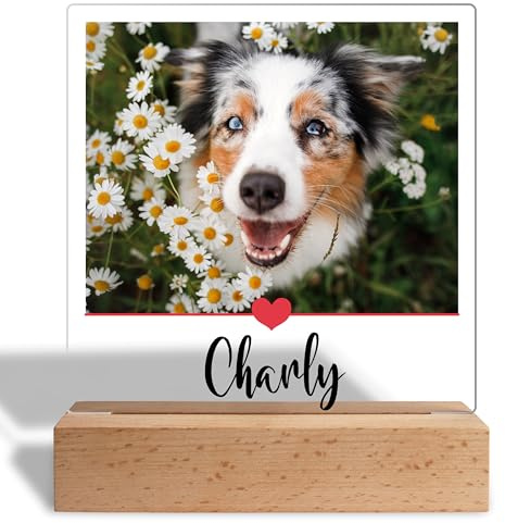 True Statements Personalisiertes Foto Geschenk für Hundebesitzer: Acrylaufsteller mit eigenem Bild, Geschenke für Hundeliebhaber Haustiere- Acrylglas inkl. Holzsockel - 15x18 cm (Herzlinie)
