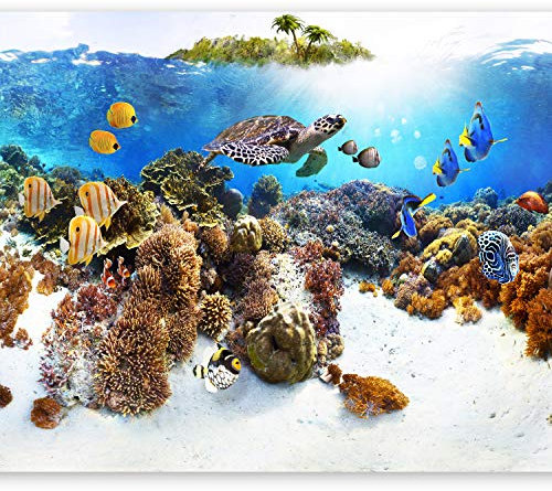 murando Fototapete selbstklebend Unterwasserwelt 343x256cm Foto Tapete Tapetenfolie Möbelfolie Wandverkleidung Wandtapete Motivtapeten Bildtapete Wohnzimmer 3d Effekt Modern Ozean Fisch Meer Natur