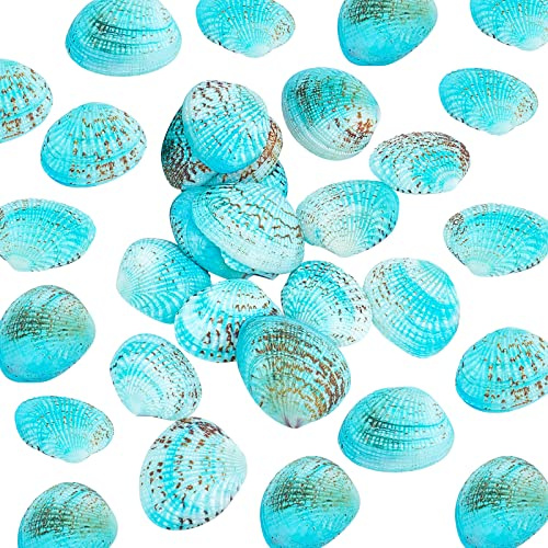 PandaHall 35 Stück Gefärbte Natürliche Muschelperlen, 32~37 mm Ungebohrte Jakobsmuscheln, Blaue Muscheln, Strandmuscheln Für Schmuck, Kerzenherstellung, Zuhause, Party, Hochzeit, Dekoration, Aquarium