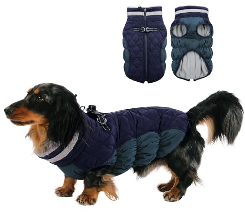 CITÉTOILE Winter Hundemantel mit Geschirr für Klein Hunde Dunkelblau XS