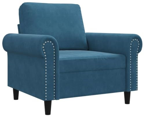 vidaXL Sofa 2 Sitzer, Couch mit Metallgestell Rückenkissen, Relaxsofa für Wohnzimmer, Polstersofa Samtsofa Zweisitzer Loungesofa, Blau Samt