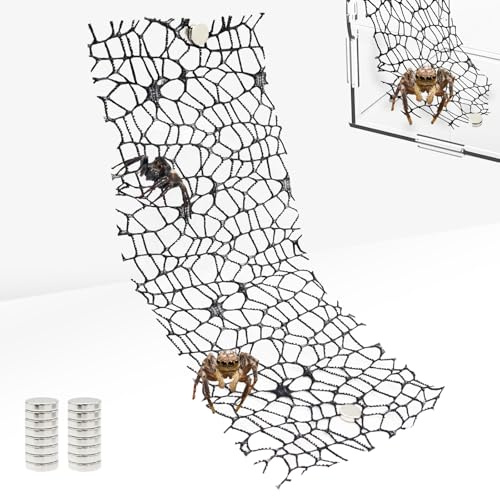 Niuohoy Lot de 4 accessoires pour enclos de tarentule avec 16 aimants pour terrarium, décoration de terrarium, mante priante, saut d'araignée, escalade en maille (noir)