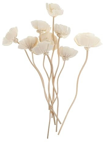 RORPOIR Diffusorstäbchen Rattan Mit Getrockneten Blumen Aromatherapie Zubehör Für Raumduft Ohne Flamme 9 Stück