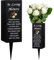 WEBEEDY Cemetery Vases Metal Grave Vases Flower Holder with Spikes Flower Bird Grave Ornaments Cemetery Memorial Vase for Loss of Loved One, Funeral, Happy Heavenly Birthday, 8x20 cm(in Loving Memory)