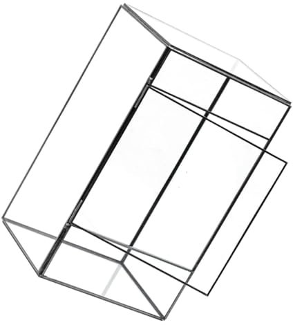 BESTonZON Terrarium Behälter Für Pflanzen Und Moos Landschaft Leere Glasbehälter Als Aufbewahrungsbehälter Tischschmuck Für Wohnzimmer Und Büro