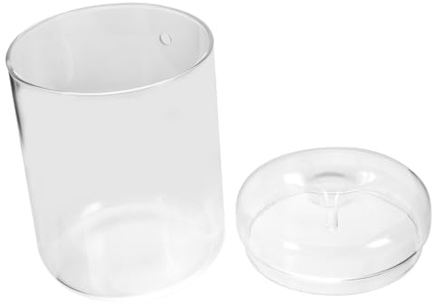 ibasenice Terrario De Vidrio para Plantas Terrario De Musgo Ecológico Maceta Decorativa para Mesa para Oficina o Hogar Incluye Musgo