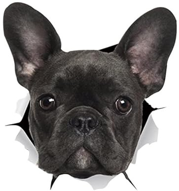 2 Stück Hund Auto Aufkleber,Auto Personalisiert Aufkleber Wasserdicht Karosserie Aufkleber Französische Bulldogge Lustiges Tier wasserdichte PVC Fenster Aufkleber für Auto Wände Kühlschrank Laptop
