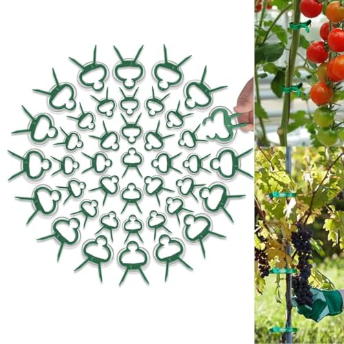Clips de plástico asegurados para plantas, clips de fijación para plantas trepadoras, reutilizables, para jardín, tomate, plantas, vid, pinzas para plantas y flores (100 unidades, L)