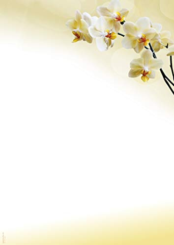 Designpapier Orchidee hell DP1850 – 25 Blatt Briefpapier – Hochwertiges Motivpapier Geburtstag, Einladung, Brief, Jubiläum, Liebesbrief – Laser- & Inkjetdrucker geeignet – Druckerpapier A4 90g/m²