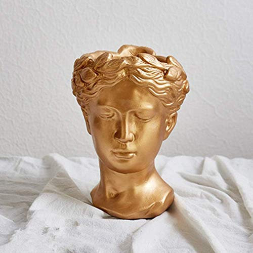PacuM Fioriera da Giardino Ritratto Creativo Testa retrò Gesso Cemento Vaso Ornamento Fiore Dea Greca Statua Decorazione (Colore: C)