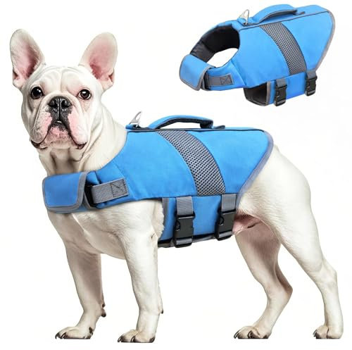 Oslueidy Chaleco Salvavidas para Perros Chaleco Salvavidas para Tiburones de Alta Flotabilidad Chaleco Salvavidas para Perros Chaleco Seguridad Bote Natación Kayak Surf Bañador (Blau, XS)