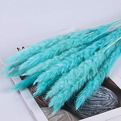 SWECOMZE 15 Stück Getrocknetes Pampasgras, Trockenblumen, Deko, Natürliche Getrocknete Blumen für Hochzeit Home Decoration (Blau)