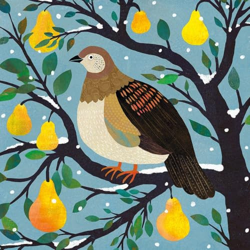 Museums & Galleries Charity Christmas Cards Pack of 8 - Partridge in a Pear Tree Design - Festive Christmas Cards Multipack - In Aid of British Heart Foundation