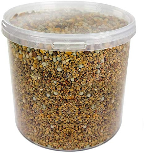 GardenersDream Four Seasons Pigeon Corn | Premium Grade Natural Food Mix | Rich in Nutritious Oils, Vitamins and Minerals | Perfect Year-Round Wild Bird Seed Feed | High in Energy & Protein (2.5L Tub)