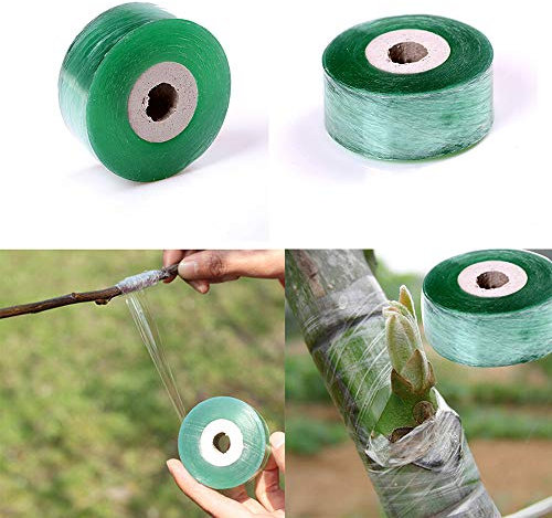 DaDago Rouleau Ruban De Jardinage Greffage Parafilm Outils De Jardin Fruit Arbres Sécateur Engraft Branche Bande Film Étirable