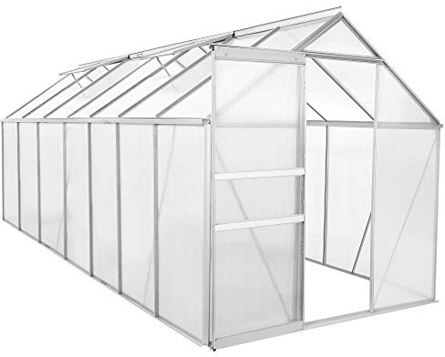 Zelsius Aluminium Gewächshaus 430 x 190 cm | 6 mm Hohlkammerplatten, UV-beständig, Winterfest | Treibhaus, Pflanzenhaus, Tomatenhaus, Frühbeet, Anbau Gewächshaus, Tomatengewächshaus, Gartenhaus