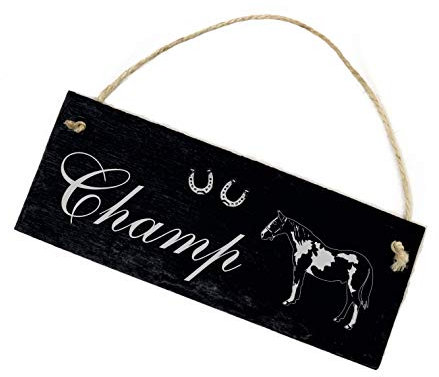 Schecke Pinto Namensschild Pferd Schild Schiefer Stalltafel mit Wunschname Türschild 22 x 8 cm