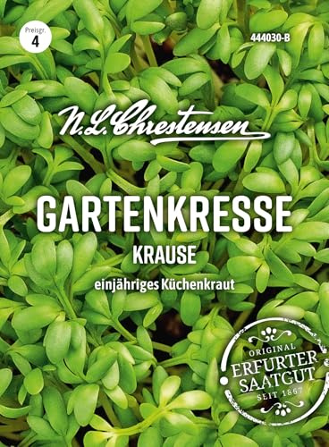 Chrestensen Berro de jardín semilla de 50 g – todo el año en la habitación – Cosecha después de 14 días – rico en vitaminas picante – para alféizar de la cocina – Lepidium sativum – Fiesta de semillas