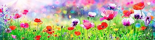 adrium Acryl-Bild 160 x 40 cm: Mohnblumen im sonnigen Feld mit abstraktem Bokeh(147637452)