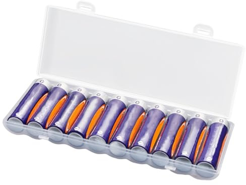 Almacenamiento de Pilas AA – de Almacenamiento portátil, rígida con Tapa Transparente y Cierre Seguro | Soporte Compacto para Pilas AAA C D 9 V, Pilas domésticas, arroz