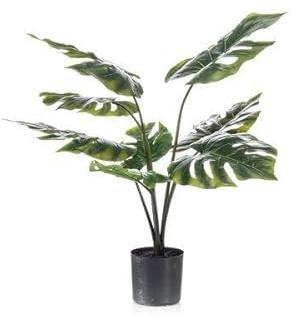 Kunstpflanze Monstera Deliciosa – Löcherpflanze – 65cm – Hochwertige künstliche Pflanze mit naturgetreuen Blättern – Immergrüne Dekopflanze für Wohnzimmer, Büro & Innenräume