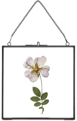 REDHUGO gepresste Blumenrahmen, schwebende Glasrahmen zur Präsentation von getrockneten Pflanzenspezimen, hängender Messing-Fotorahmen mit Kette, doppelt klares Glas, Vintage Wanddekoration, Quadrat
