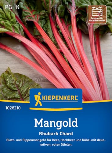 Kiepenkerl Mangoldsamen Rhubarb Chard 1026210, Gemüsesaat | Attraktive rote Stiele & rot-grüne Blätter, für Beet, Hochbeet und Kübel