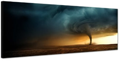 150x50cm PANORAMA BILD XXL TOP Bilder neu (Baum im Sturm) NEU Wandbild xxl günstig & modern ART PRINT Wandbilder Bilder EXKLUSIVES Fotowandbild auf Leinwand und Keilrahmen Bild Leinwandbild Fotodruck modern Zeitlos Stilvoll wie ein Gemälde Ausführung schöner Kunstdruck auf echter Leinwand als Wandbild mit Rahmen. Preiswerter als Ölbild Gemälde Foto Poster Plakat mit Bilderrahmen.