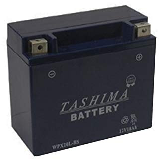 Greenstar 2085 Batterie gel WPX20LBS