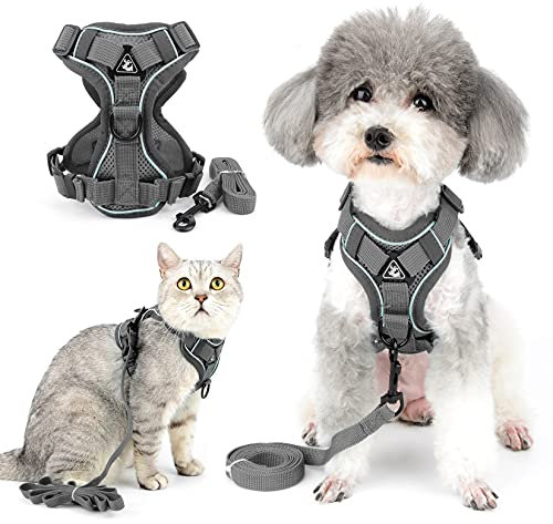 Ranphy Hundegeschirr und Leine für kleine Hunde, reflektierend, ausbruchsicher, atmungsaktiv, verstellbar, Brustgeschirr, Wanderjacke für Outdoor-Training