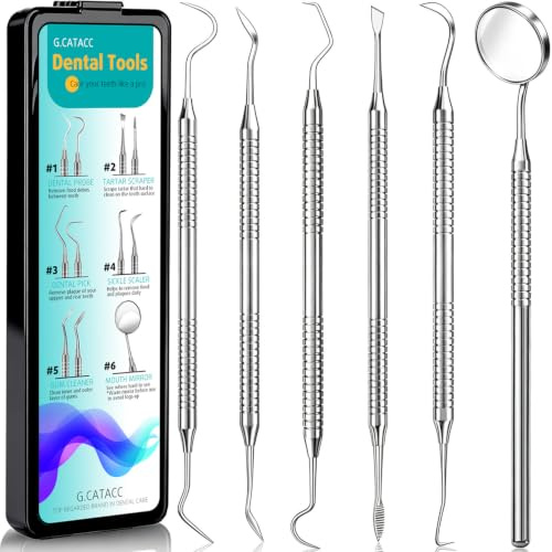 CATACC PRO Dental Tools, Toothpick Teeth Cleaning Kit Stainless Steel Hygiene Kit with Tooth Scraper and Plate and Tartar (with Case)