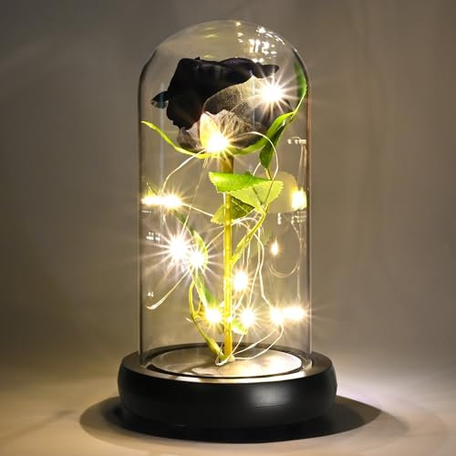 TECHSHARE Mothers Gifts for Mum, Light Up Black Rose In A Glass Dome is a Unique Gifts for Girlfriend, Mum, Women, Wife on Valentines Day, Mothers Day, Christmas, Birthday, Anniversaries, etc
