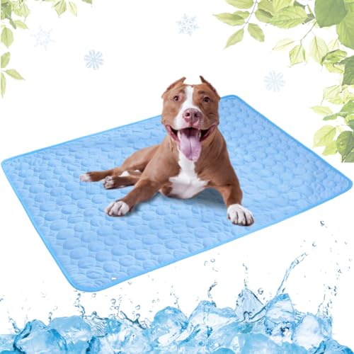 LEZUAN Kühlmatte Hunde, Selbstkühlende Hundematte, Kühldecke Katzen, Ungiftig Kühlkissen für Haustiere, Waschbar Hund Kältematte für Drinnen, Draußen und Auto(Blau,55x70cm)