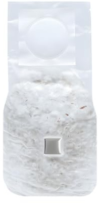 Körnerbrut 650 g | Pilze selber züchten | Pilzkulturen | Pilzbrut (Reishi)