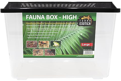 Terra Exotica Fauna Box Flat (Large, Small) oder Fauna Box High (Large, X-Large) - Transportbox für Reptilien, Amphibien,Mäuse - Kunststoffterrarium/Zuchtbox für Insekten (High, Large)