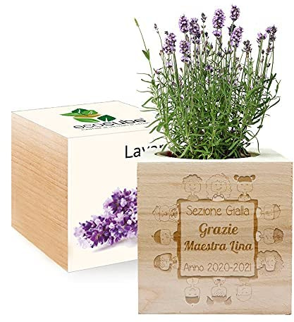 Amikado - EcoCube personalizzabile con incisione Grazie Maestra (Lavanda), Kit per Far Crescere la Propria pianta, Idea Regalo (100% Ecologica)