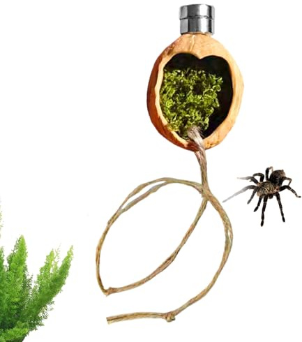 Spindelhölje tillbehör – magnetisk valnötslivsmiljö | hoppande spindellivsmiljöer tillbehör med rep | för Geckos ödlor träd grodor eremitkrabbor terrarium