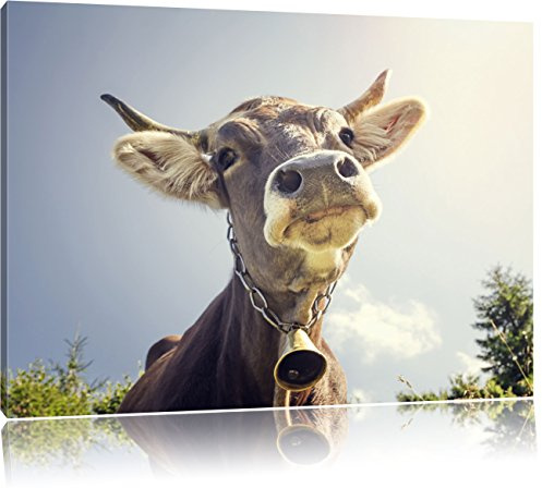 Pixxprint Lustiges Portrait Einer Kuh, Größe: 120x80cm, Leinwandbild, fertig gespannt, Wandbild, Dekoration, Kunstdruck, kein Poster
