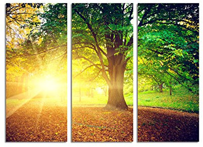 Paul Sinus Art 130x90cm – Keilrahmenbild Baum Herbstlaub Sonnenuntergang 3teiliges Wandbild auf Leinwand und Keilrahmen - Fotobild Kunstdruck Artprint