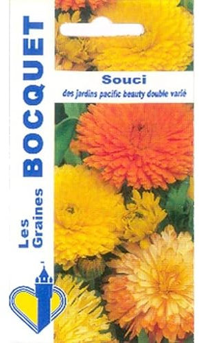 Sachet de graines de Souci des jardins Pacific Beauty double varié - 3 g - LES GRAINES BOCQUET